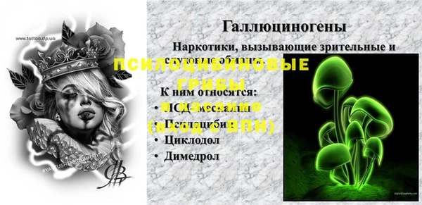 прущая мука Абаза