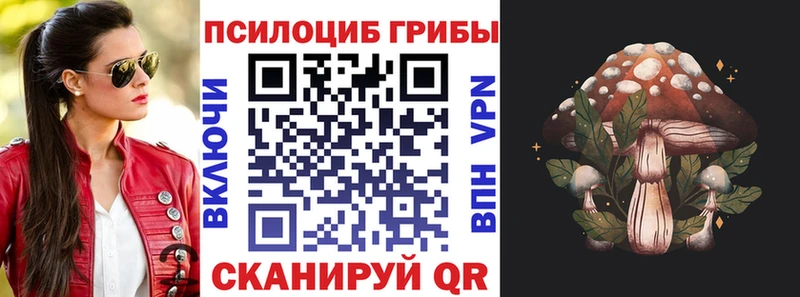 ОМГ ОМГ как зайти Стерлитамак Псилоцибиновые грибы прущие грибы